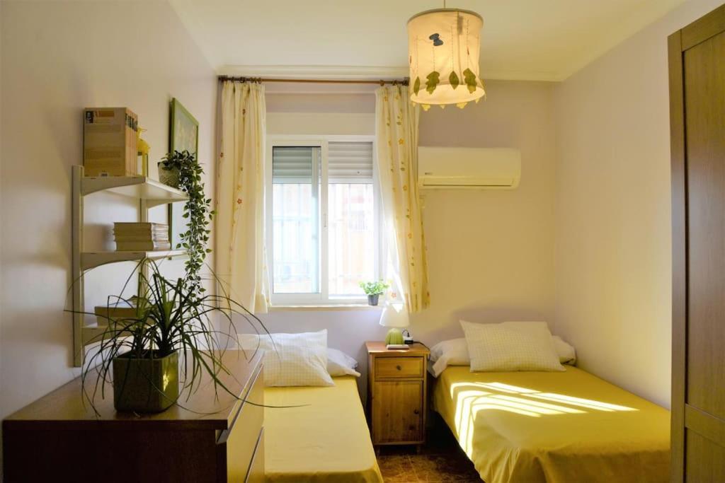 Apartment El De Trini